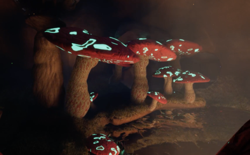Magic Mushroom Fly-through